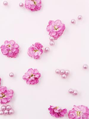 八王子近辺でサポート充実の結婚相談所