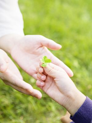 たくさんの写真を撮影しアルバムに加工